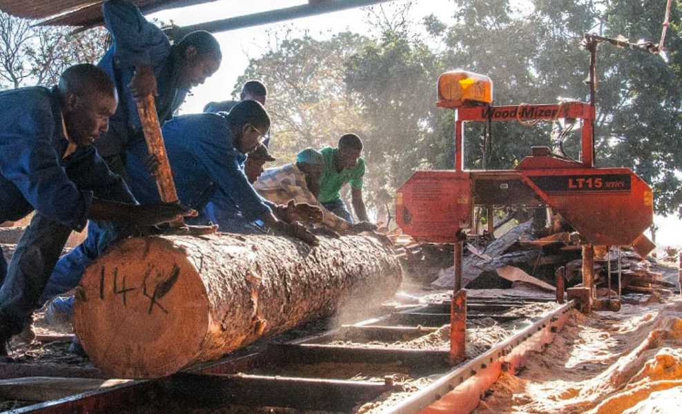 KNUST Study Calls for Urgent Safety Measures in Ghana’s Timber Industry