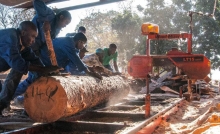 KNUST Study Calls for Urgent Safety Measures in Ghana’s Timber Industry